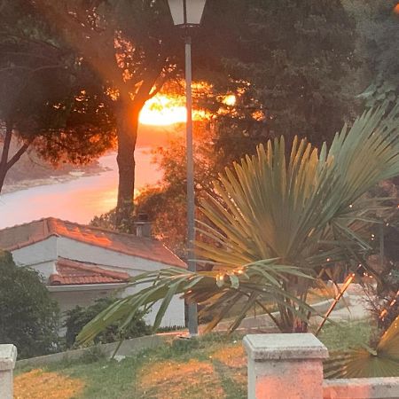 San Martín de Valdeiglesias La Casita De Noe Con Vista Al Pantano De San Juan 빌라 외부 사진